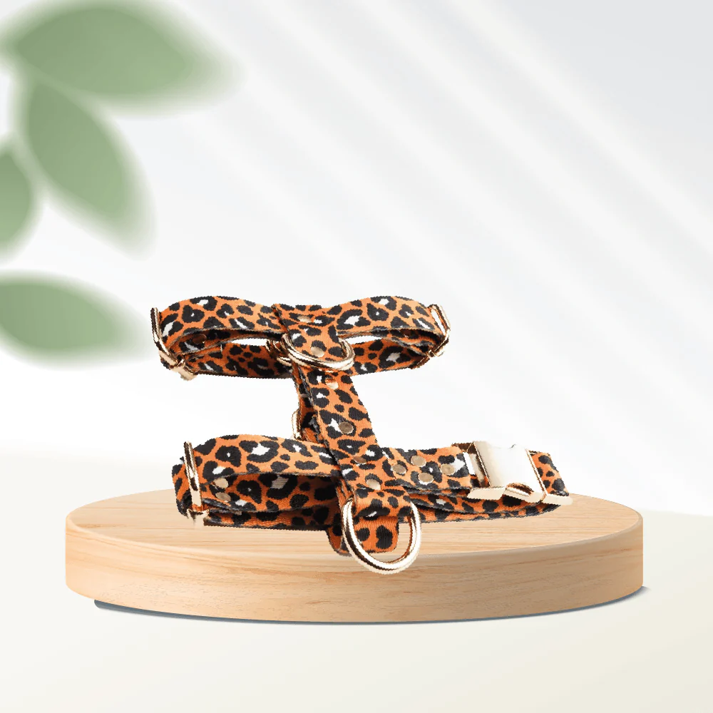 Patterned Collection