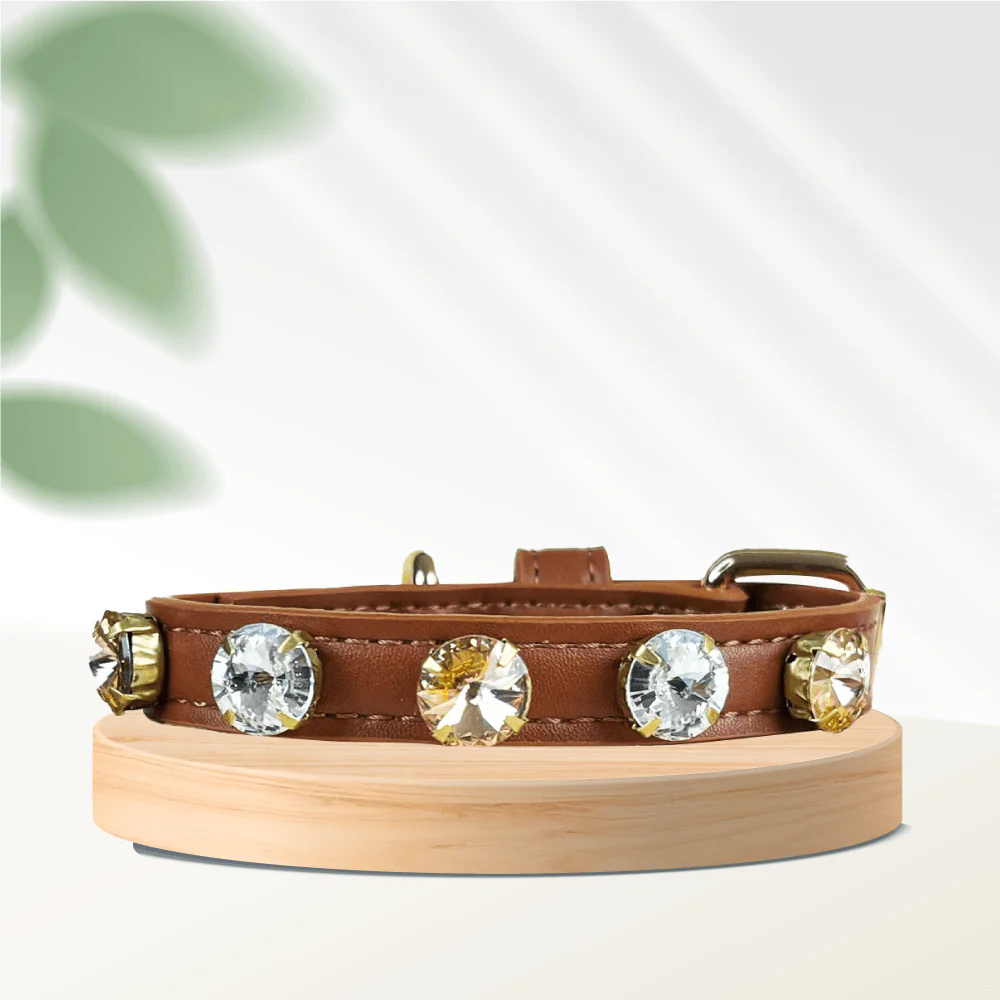 Swarovski Collection